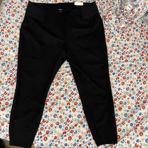 Lane Bryant Legging size 28